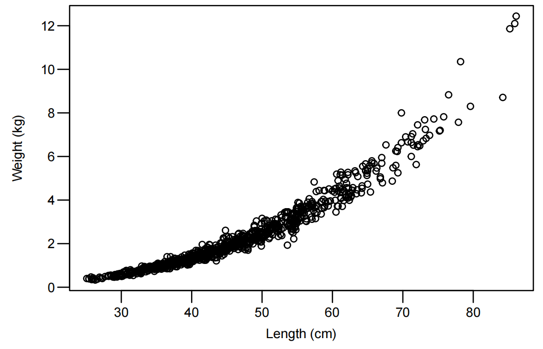 image-20250413142219955