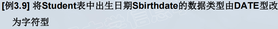 image-20250410013222456